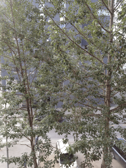 Screen Shot 2013-07-03 at 12.28.22 PM